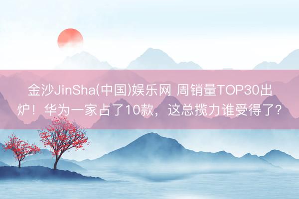 金沙JinSha(中国)娱乐网 周销量TOP30出炉！华为一家占了10款，这总揽力谁受得了？