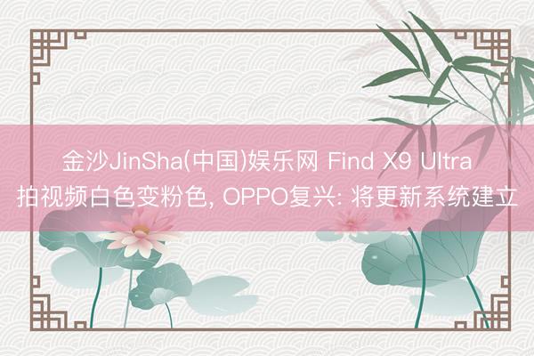 金沙JinSha(中国)娱乐网 Find X9 Ultra拍视频白色变粉色, OPPO复兴: 将更新系统建立