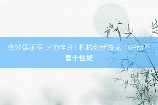 金沙娱乐网 火力全开! 机械创新蛟龙 16Pro不啻于性能
