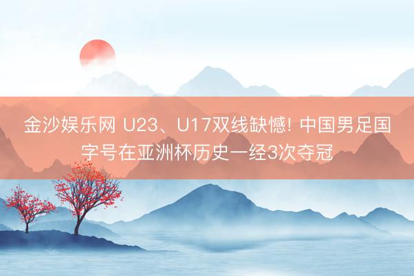 金沙娱乐网 U23、U17双线缺憾! 中国男足国字号在亚洲杯历史一经3次夺冠
