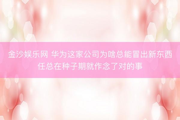 金沙娱乐网 华为这家公司为啥总能冒出新东西任总在种子期就作念了对的事