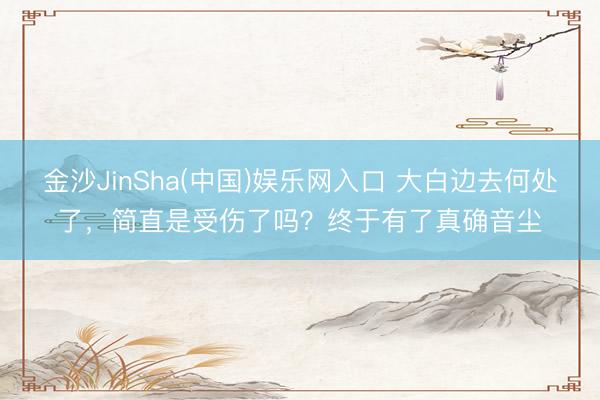 金沙JinSha(中国)娱乐网入口 大白边去何处了,简直是受伤了吗?终于有了真确音尘