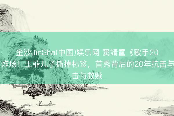 金沙JinSha(中国)娱乐网 窦靖童《歌手2026》炸场!王菲儿子撕掉标签,首秀背后的20年抗击与救赎