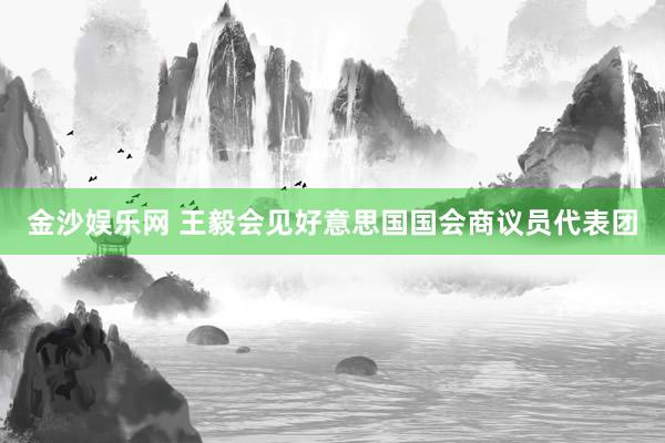 金沙娱乐网 王毅会见好意思国国会商议员代表团