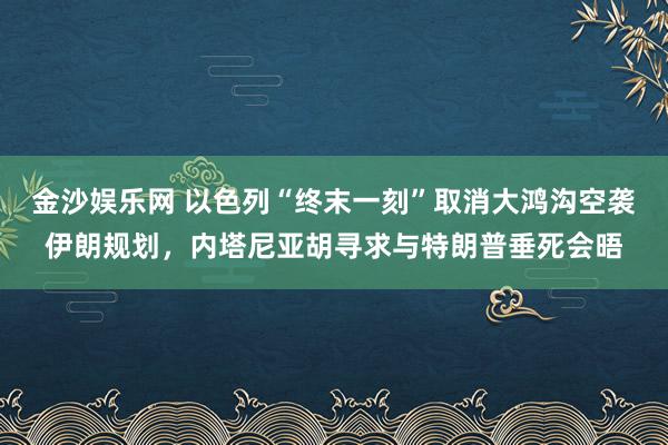 金沙娱乐网 以色列“终末一刻”取消大鸿沟空袭伊朗规划，内塔尼亚胡寻求与特朗普垂死会晤